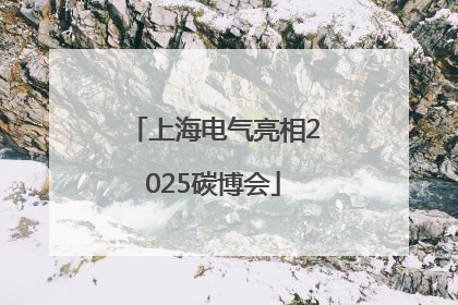 上海电气亮相2025碳博会