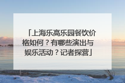 上海乐高乐园餐饮价格如何？有哪些演出与娱乐活动？记者探营