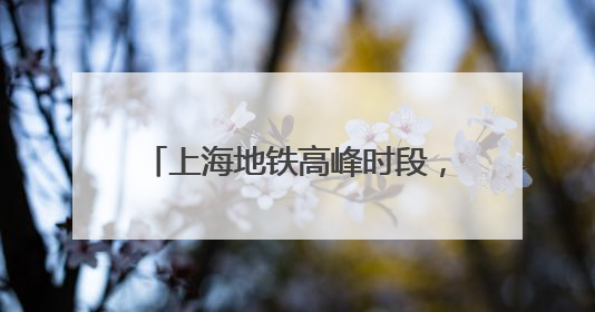 上海地铁高峰时段，5元一次50元包月？官方：坚决反对！
