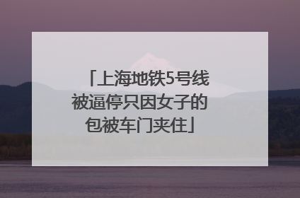 上海地铁5号线被逼停只因女子的包被车门夹住