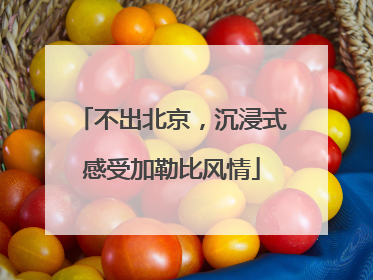 不出北京，沉浸式感受加勒比风情