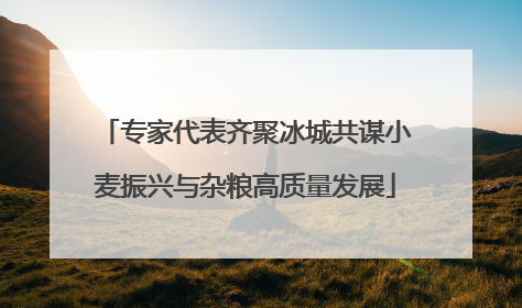 专家代表齐聚冰城共谋小麦振兴与杂粮高质量发展