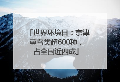 世界环境日：京津冀鸟类超600种，占全国近四成
