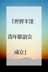 世界丰泽青年联谊会成立