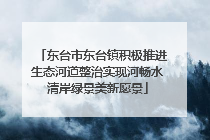 东台市东台镇积极推进生态河道整治实现河畅水清岸绿景美新愿景