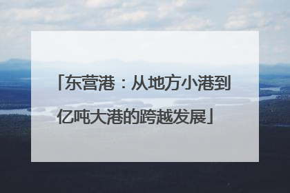东营港：从地方小港到亿吨大港的跨越发展