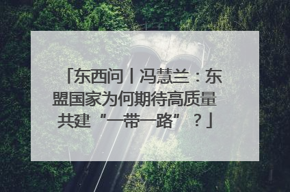 东西问丨冯慧兰：东盟国家为何期待高质量共建“一带一路”？