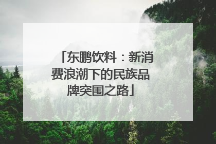 东鹏饮料：新消费浪潮下的民族品牌突围之路