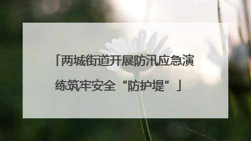 两城街道开展防汛应急演练筑牢安全“防护堤”