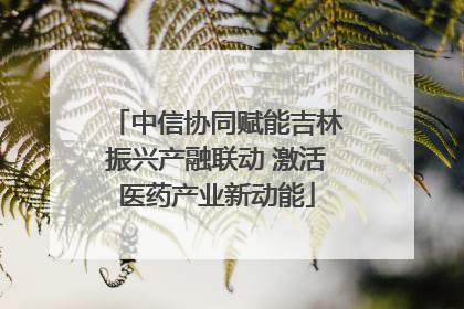 中信协同赋能吉林振兴产融联动 激活医药产业新动能