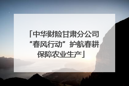 中华财险甘肃分公司“春风行动”护航春耕 保障农业生产