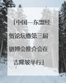 中国—东盟经贸论坛暨第三届链博会推介会在吉隆坡举行