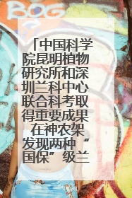 中国科学院昆明植物研究所和深圳兰科中心联合科考取得重要成果 在神农架发现两种“国保”级兰花