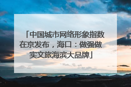 中国城市网络形象指数在京发布，海口：做强做实文旅海滨大品牌