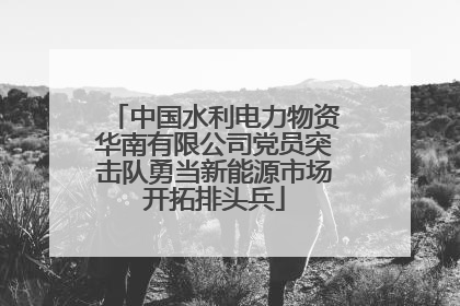 中国水利电力物资华南有限公司党员突击队勇当新能源市场开拓排头兵