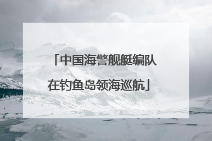 中国海警舰艇编队在钓鱼岛领海巡航