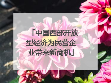 中国西部开放型经济为民营企业带来新商机