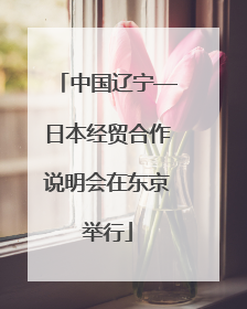 中国辽宁—日本经贸合作说明会在东京举行