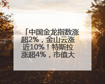 中国金龙指数涨超2%，金山云涨近10%！特斯拉涨超4%，市值大涨3100亿元！比特币涨回11万美元关口