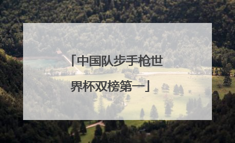 中国队步手枪世界杯双榜第一