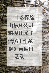 中宏保险山东分公司积极开展《信访工作条例》宣传月活动