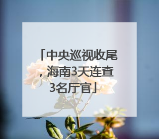 中央巡视收尾，海南3天连查3名厅官