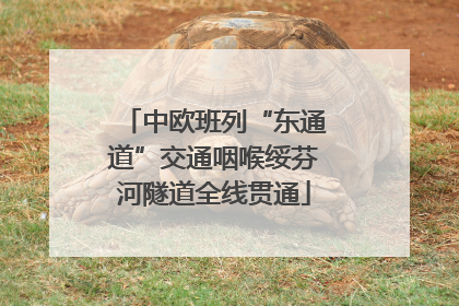 中欧班列“东通道”交通咽喉绥芬河隧道全线贯通