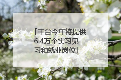 丰台今年将提供6.4万个实习见习和就业岗位