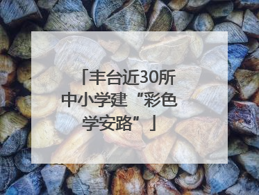 丰台近30所中小学建“彩色学安路”