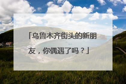 乌鲁木齐街头的新朋友，你偶遇了吗？