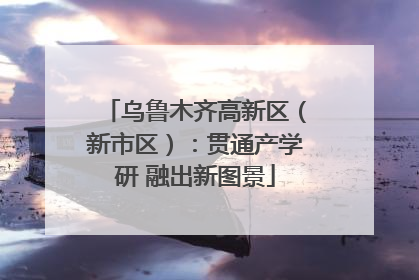 乌鲁木齐高新区（新市区）：贯通产学研 融出新图景