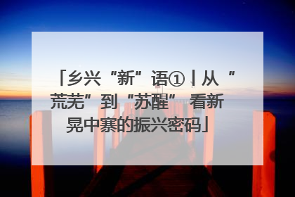 乡兴“新”语①丨从“荒芜”到“苏醒” 看新晃中寨的振兴密码