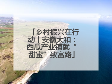 乡村振兴在行动丨安徽太和：西瓜产业铺就“甜蜜”致富路