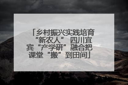 乡村振兴实践培育“新农人” 四川宜宾“产学研”融合把课堂“搬”到田间