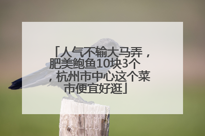 人气不输大马弄，肥美鲍鱼10块3个，杭州市中心这个菜市便宜好逛