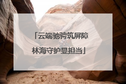 云端驰骋筑屏障 林海守护显担当