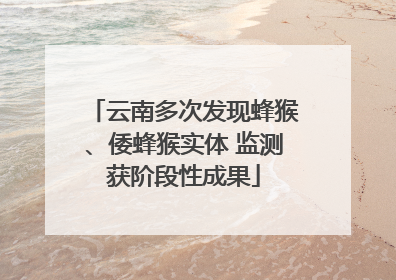 云南多次发现蜂猴、倭蜂猴实体 监测获阶段性成果