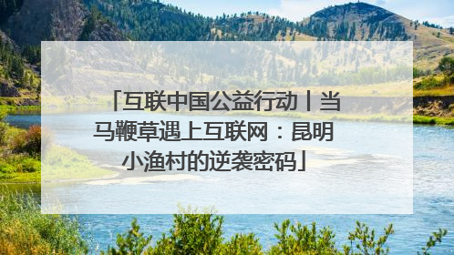 互联中国公益行动丨当马鞭草遇上互联网:昆明小渔村的逆袭密码