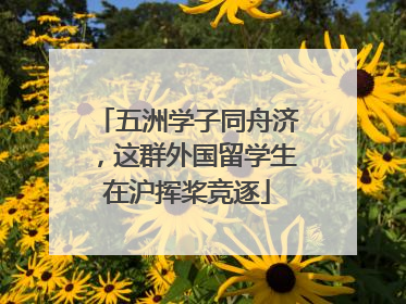 五洲学子同舟济，这群外国留学生在沪挥桨竞逐