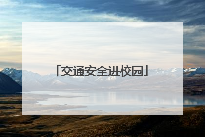 交通安全进校园