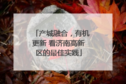 产城融合，有机更新 看济南高新区的最佳实践