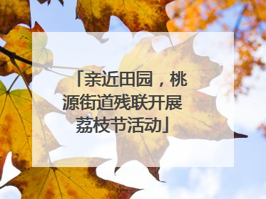 亲近田园，桃源街道残联开展荔枝节活动