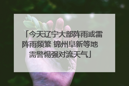 今天辽宁大部阵雨或雷阵雨频繁 锦州阜新等地需警惕强对流天气