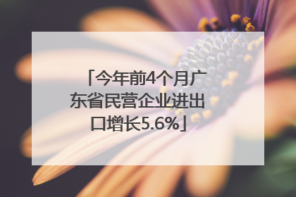 今年前4个月广东省民营企业进出口增长5.6%