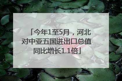 今年1至5月，河北对中亚五国进出口总值同比增长1.1倍