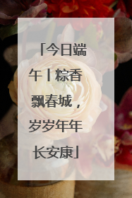 今日端午丨粽香飘春城，岁岁年年长安康