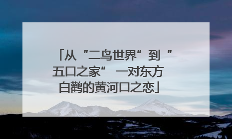 从“二鸟世界”到“五口之家” 一对东方白鹳的黄河口之恋