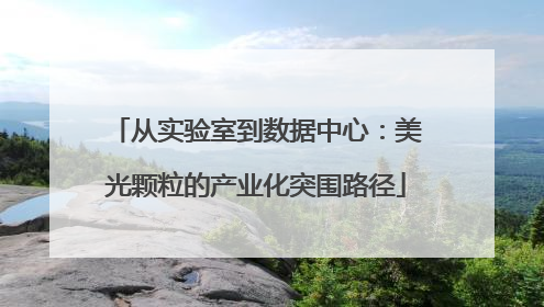 从实验室到数据中心：美光颗粒的产业化突围路径