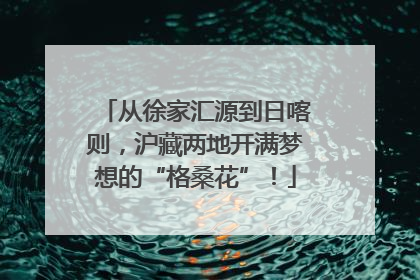 从徐家汇源到日喀则，沪藏两地开满梦想的“格桑花”！