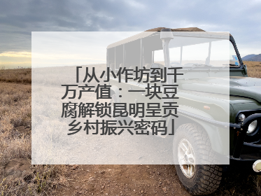 从小作坊到千万产值：一块豆腐解锁昆明呈贡乡村振兴密码